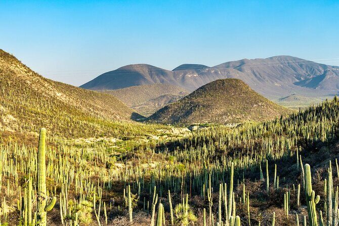 Private Tour to the Tehuacán Biosphere Reserve - Comprehensive Review of the Tour