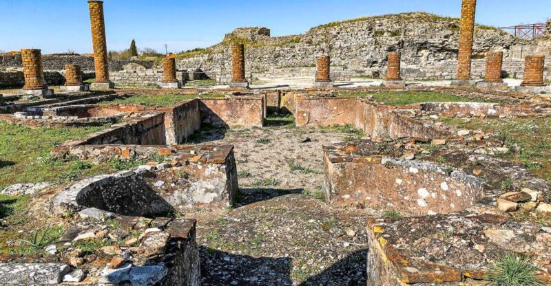 Private Tour to the University of Coimbra and an Roman city - An In-Depth Look at the Tour Experience
