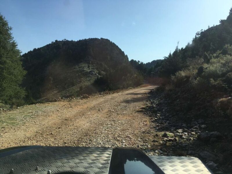 Private Tour to The White Mountains & Samaria from Above - Final Thoughts