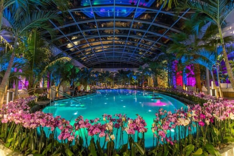 PRIVATE TOUR to Therme Bucuresti  Entrance Ticket included - The Journey Begins: Hassle-Free Transportation