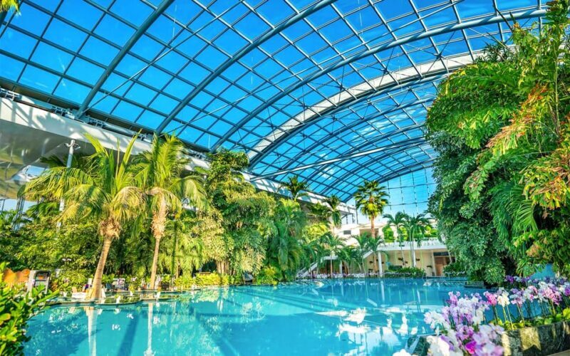 PRIVATE TOUR to Therme Bucuresti  Entrance Ticket included - Exploring the Zones: The Palm and The Galaxy