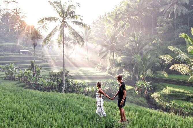Private Tour To Tibumana Waterfall, rice terraces & Jungle Swing - An In-Depth Look at the Tour Experience