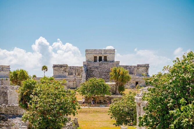 Private Tour to Tulum and Swimming with Turtles in Akumal - Introduction