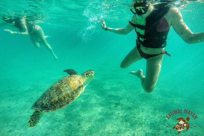 Private Tour to Tulum and Swimming with Turtles in Akumal - Practical Details and Tips