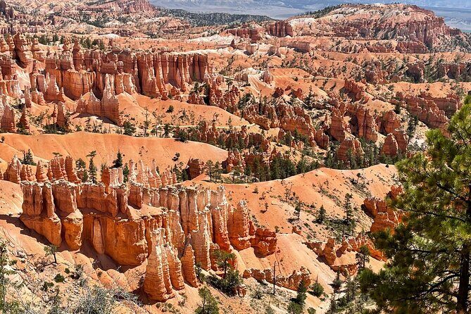 Private Tour to Zion National Park from Las Vegas - Transportation and Comfort