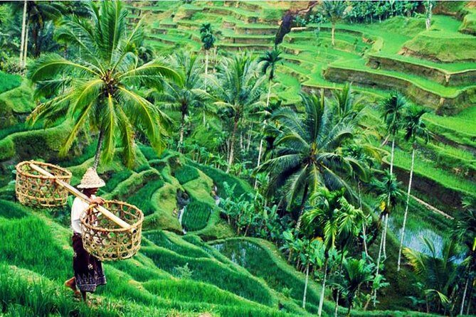 Private Tour Top Sights of Bali in One Day - Frequently Asked Questions