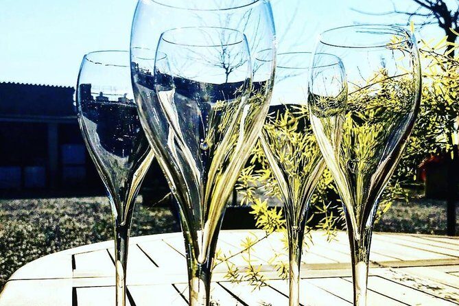 Private Tour: Top Three Organic Wineries & Local Lunch Included - The Experience: What Sets It Apart