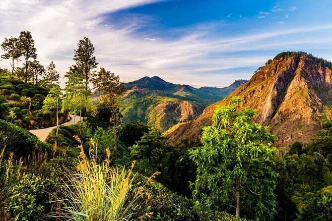 Private Tour Trek to Little Adam's Peak and Nine Arches Bridge - Detailed Breakdown of the Tour Experience