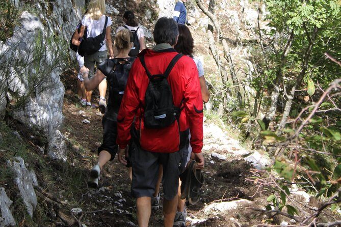 Private Tour: Truffle-Hunting Experience from Amalfi Coast with Lunch - Exploring the Truffle Hunt Itinerary in Detail