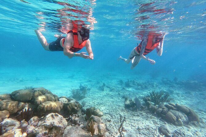 Private Tour Tulum Ruins and Snorkeling in National Park - The Experience: What to Expect and Why It Matters