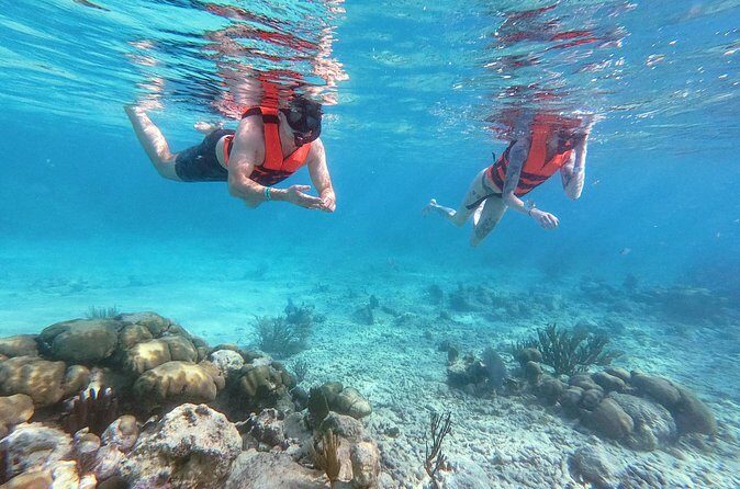 Private Tour Tulum Ruins and Snorkeling in National Park - Logistics: What You Should Know