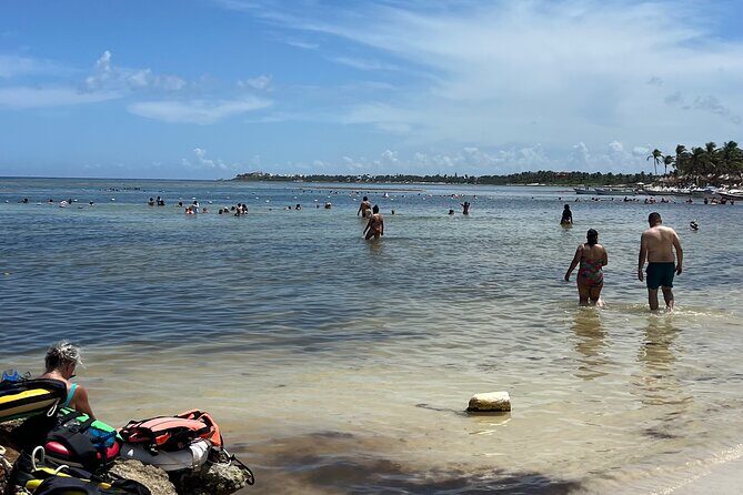 Private Tour: Turtle Swim & Underground Cenote - FAQ