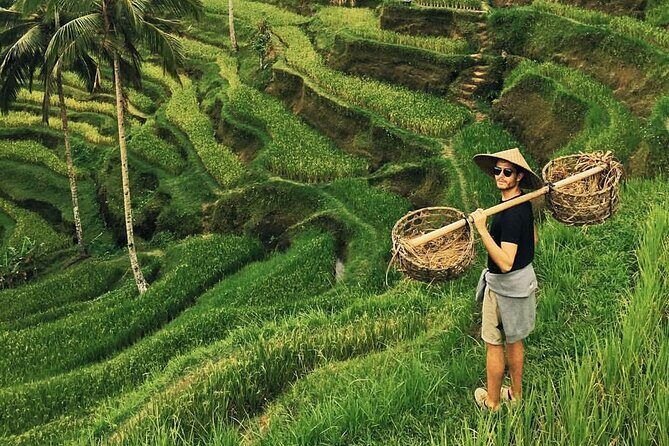 Private Tour Ubud - Best of Ubud with All Inclusive - A Deep Dive into the Ubud Private Tour