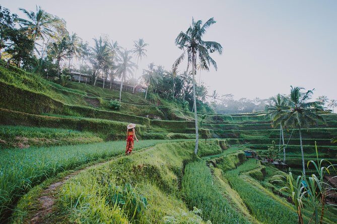 Private Tour: Ubud Highlights - D’Alas Warung: Jungle Dining