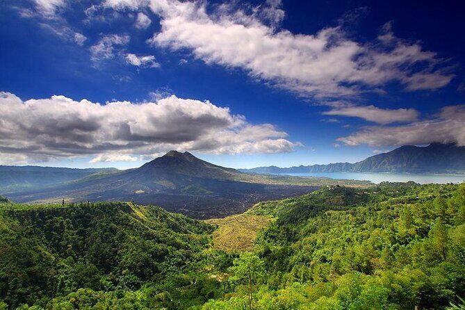 Private Tour - Ubud Kintamani Tours - What You Can Expect from the Ubud Kintamani Tour