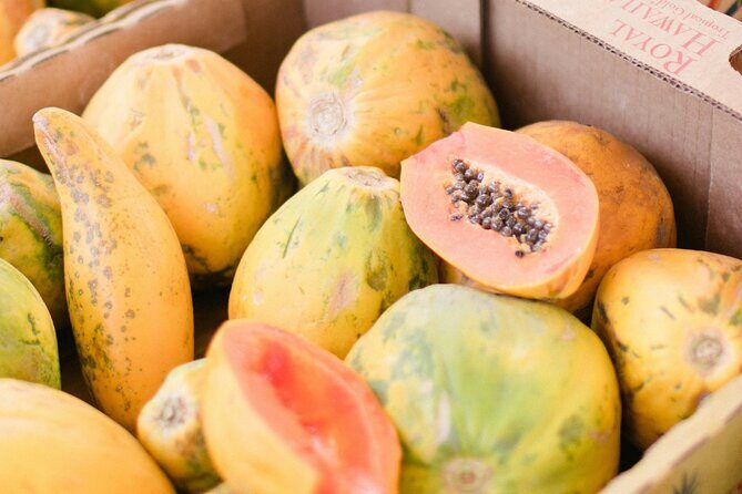 PRIVATE TOUR-Ultimate Circle Island Tour of Oahu - Frequently Asked Questions