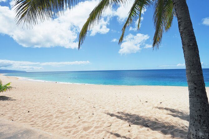 PRIVATE TOUR-Ultimate North Shore Experience - FAQ