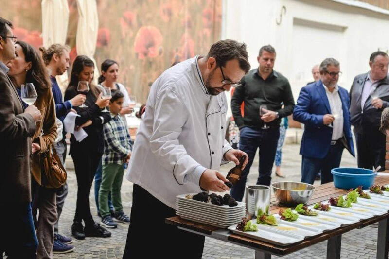 Private tour Underground Wonders & Vineyard Delights - Who Is This Tour Best For?