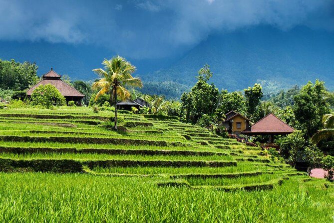 Private tour- UNESCO rice terraces, Ulundanu Beratan, Batukaru, Tanah lot temple - Practical Details and What to Keep in Mind