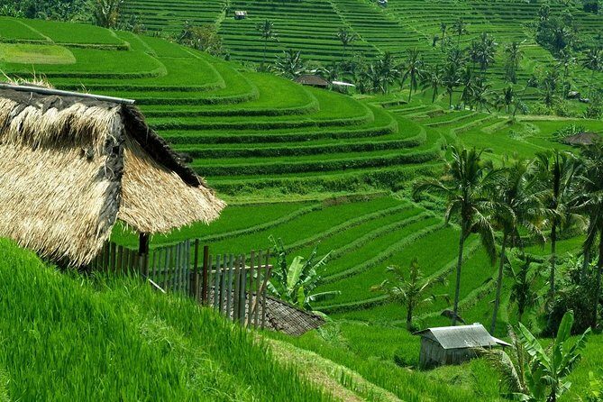 Private tour- UNESCO rice terraces, Ulundanu Beratan, Batukaru, Tanah lot temple - FAQ