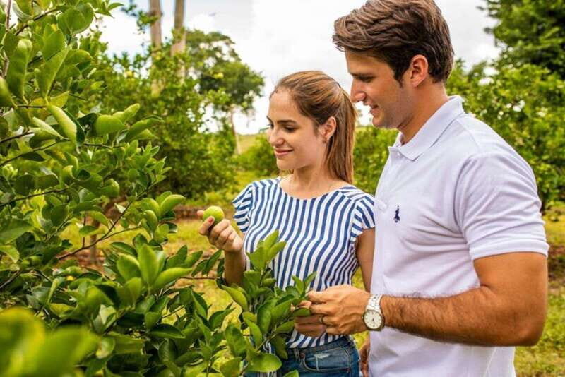 Private Tour Uxmal Land Rover Vintage safari & Mayan brunch - Key Points