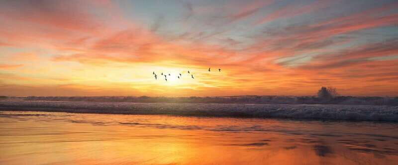 Private tour Uxmal Ruins, Chocolate Museum plus Cenote - Who Should Consider This Tour?