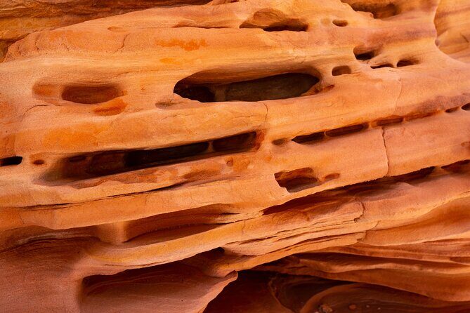 Private Tour: Valley of Fire Day Tour from Las Vegas - What to Expect During Your Day