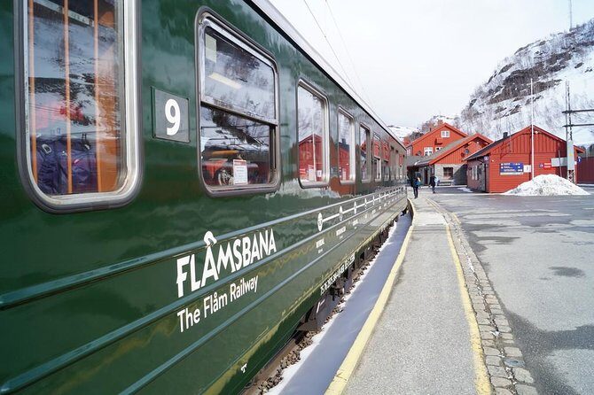 Private tour - Viking Village, Nærøyfjord Cruise and Flåm Railway - The Practicalities and What to Expect