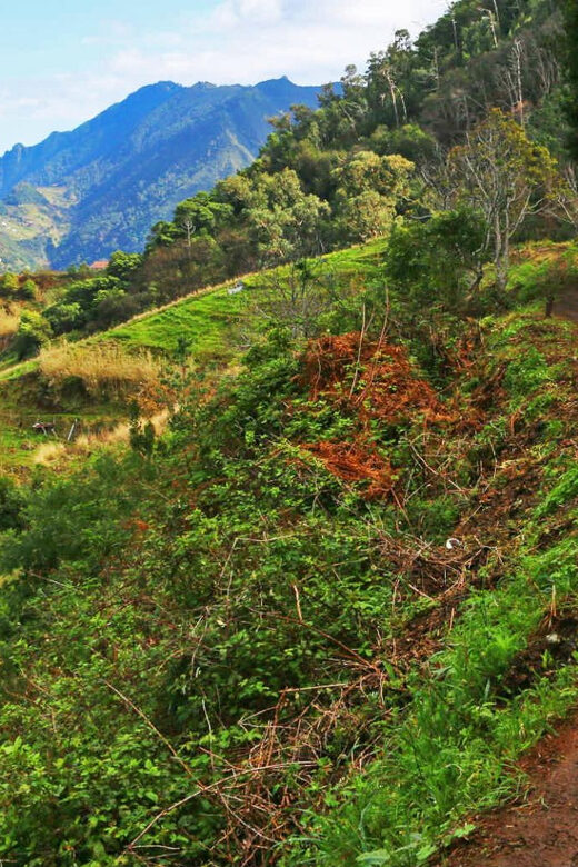 Private Tour VIP - Who Is This Tour Best For?