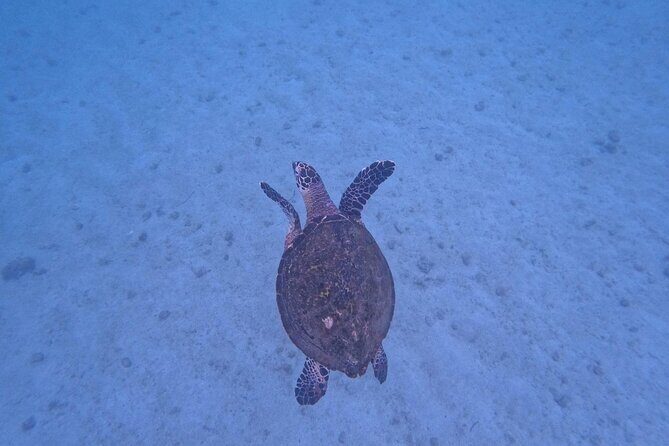 Private Tour Visit the National Park ''The Arches of Mismaloya'' - FAQ: Your Practical Questions Answered
