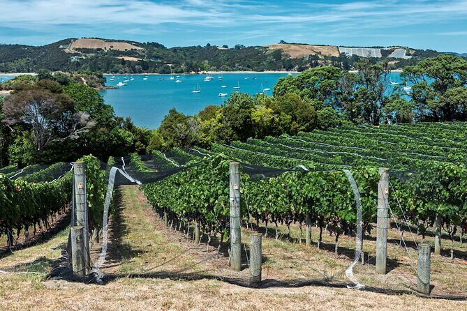 Private Tour - Waiheke Island Luxury Experience - FAQs