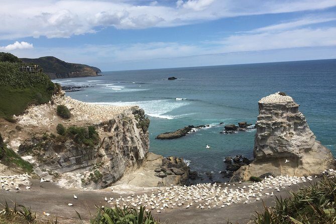 Private Tour: Waitomo Caves Day Trip from Auckland - The Itinerary in Detail: What to Expect