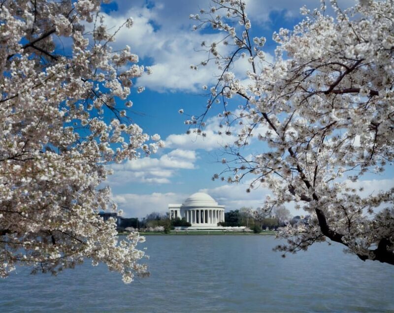 Private Tour: Washington DC with Luxury SUV 6h Self Guided - Additional Offerings & Extras