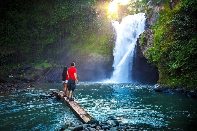 Private Tour: Waterfall, Kintamani Volcano, Ubud Tour with Lunch - Key Points