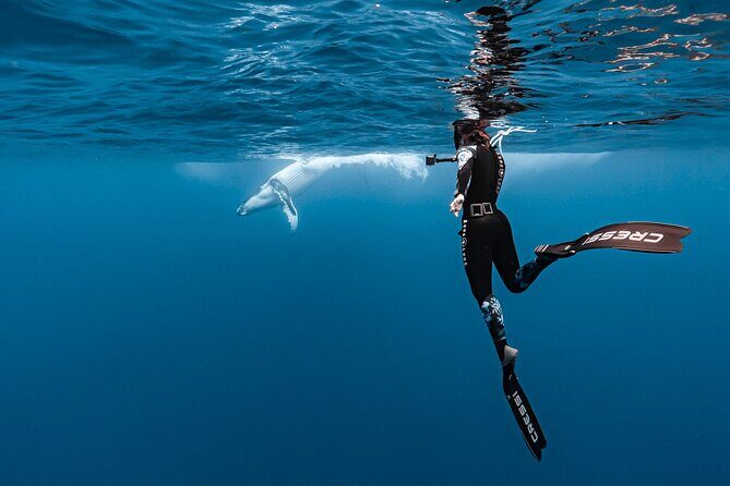 Private tour whale watching and snorkeling in Moorea - Introduction: An Authentic Marine Encounter in Moorea