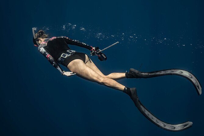 Private Tour Whale Watching Half Day Tour - The Pros and Cons