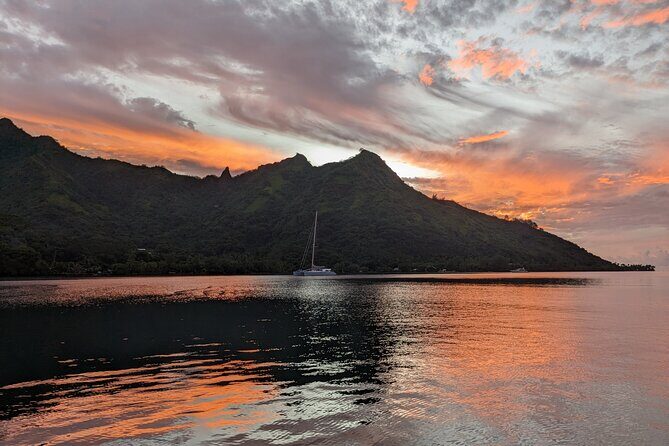 Private Tour Whale Watching Half Day Tour - Who Will Love This Tour?