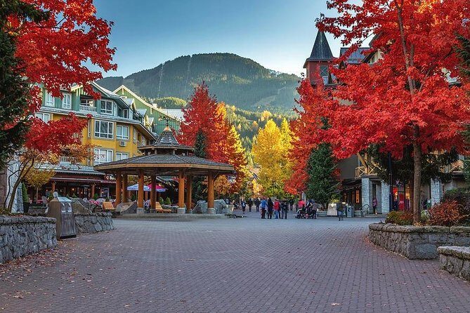 Private Tour: Whistler Day Trip from Vancouver - An Overview of the Experience