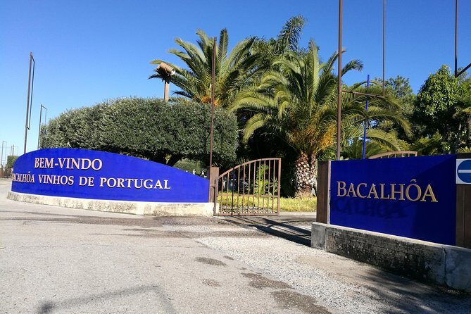 PRIVATE TOUR WINE TASTING QUINTA BACALHÔA & JOSÉ MARIA FONSECA (Setubal Region) - Who Will Love This Tour?