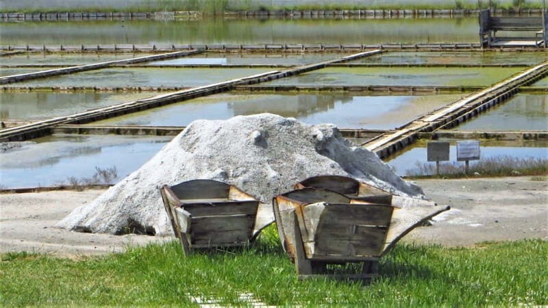 Private Tour: Wine Tasting Tour, Mud Baths, History & more - The Complete Experience: An In-Depth Look