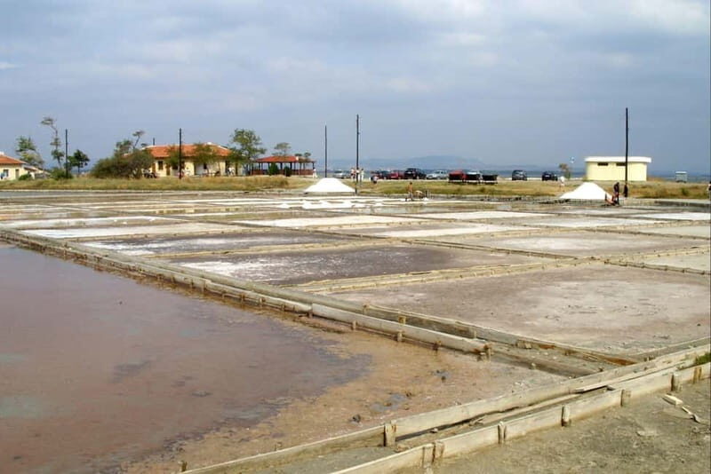 Private Tour: Wine Tasting Tour, Mud Baths, History & more - Final thoughts