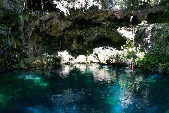 Private Tour with 3 Cenotes + 5 Zip-lines + Mayan Lunch - Zip-Lining Through Nature