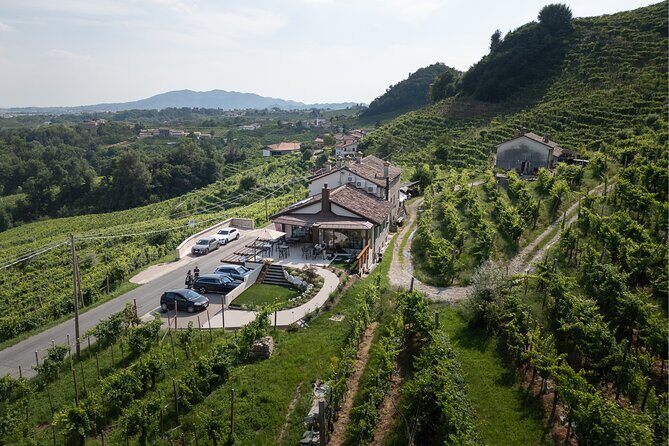 Private Tour with Prosecco DOCG Tasting - Key Points
