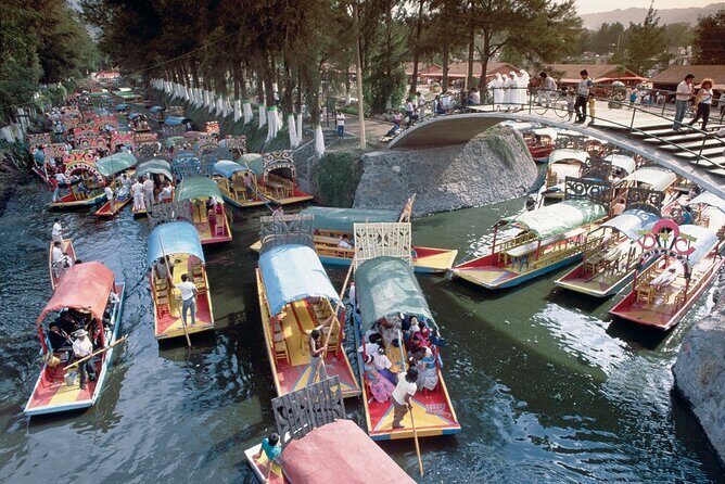 Private Tour: Xochimilco Coyoacan and Frida Kahlo's Museum and house - The Day Unfolds: A Deep Dive Into the Itinerary