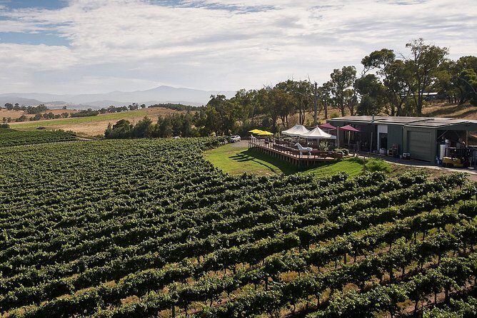 Private Tour: Yarra Valley Wineries with Wine Tastings - Learning and Enjoying: Making the Most of Your Day