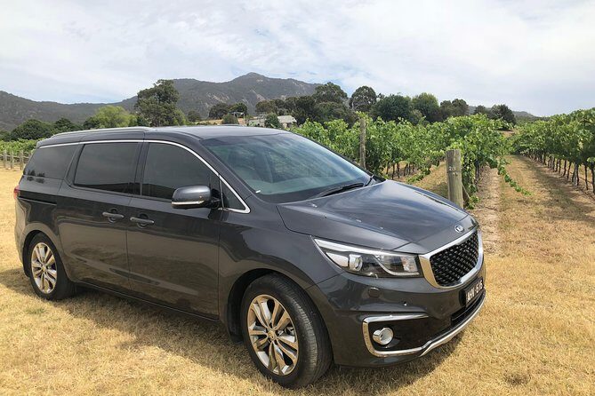 Private Tour: Yarra Valley Wineries with Wine Tastings - Who Should Consider This Tour?