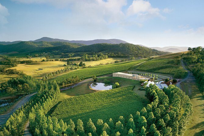 [PRIVATE TOUR] Yarra Valley Winery | Day Tour - Authentic Experiences and Highlights