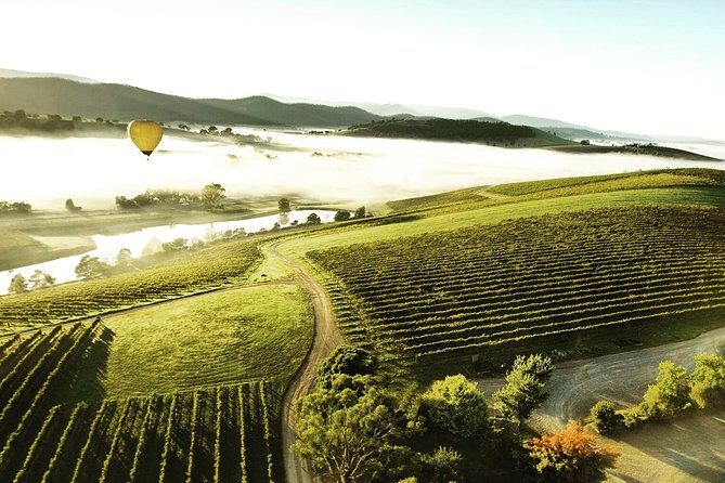 [PRIVATE TOUR] Yarra Valley Winery | Day Tour - Who Might Find It Less Suitable?