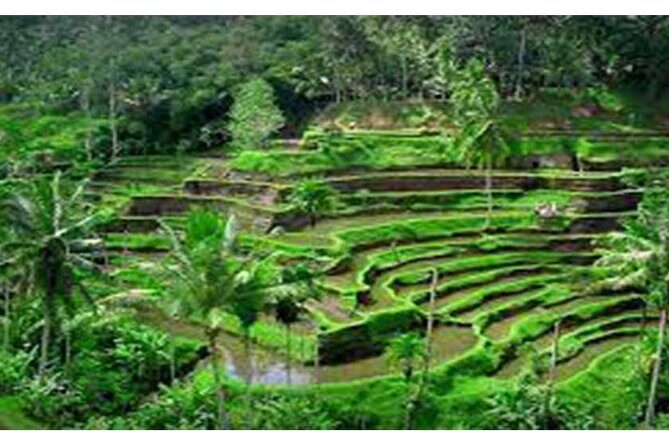 Private Tour:Kintamani Volcano Tour With Entrance Ticket & Hotel Transfer - Practicalities: What to Know Before You Go