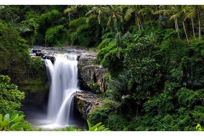 Private Tour:Kintamani Volcano Tour With Entrance Ticket & Hotel Transfer - Who Is This Tour Perfect For?